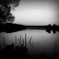/album/proyecto-z/photolia-b01-jpg/